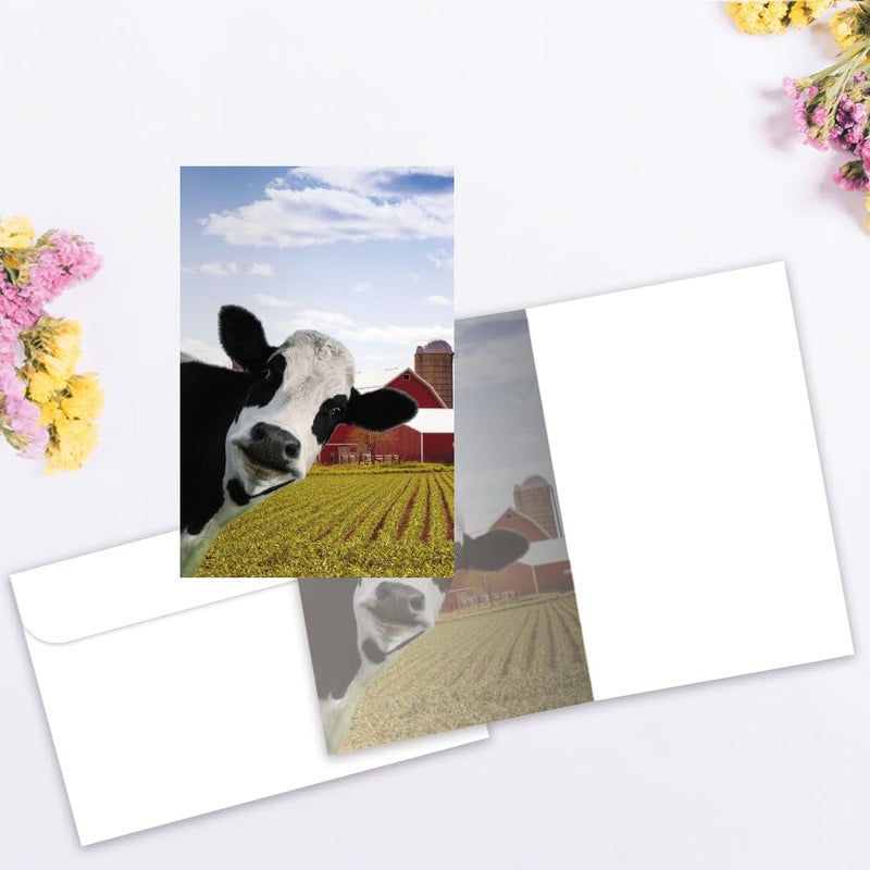 Tree-Free Greetings EcoNotes 12 Count Cow Photobomb All Occasion Notecard Set with Envelopes, 4 x 6 Inches (FS56364) - Image 2